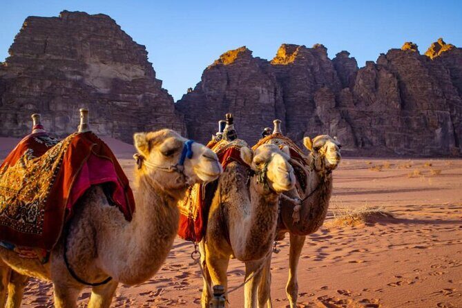 07 days and 06 nights Jordan Jewels - Day 2 Wadi Rum: the desert that looks like another planet