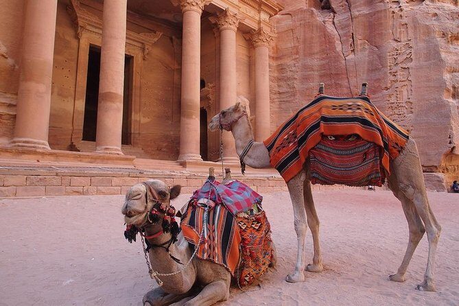 2 Day 1 Night Wadi Rum (Overnight) & Petra Shore Excursion - Key takeaways before you go