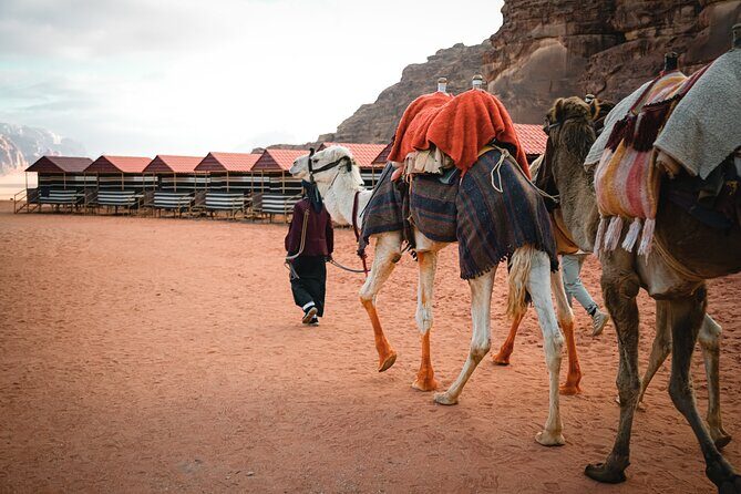 2-Day Jordan Guided Tour Petra, Wadi Rum and Dead Sea - Morning pickup in Amman to Petra through the Siq