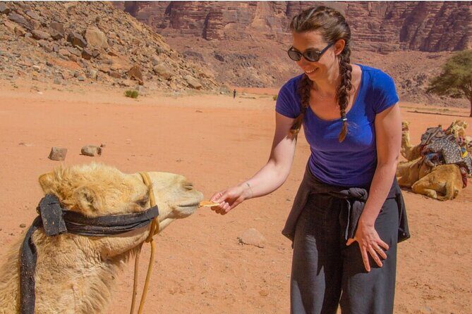 2 Day private tour from Amman to Petra_ Wadi Rum_ Aqaba Dead Sea - The private car experience: Wi-Fi helps, but comfort can vary
