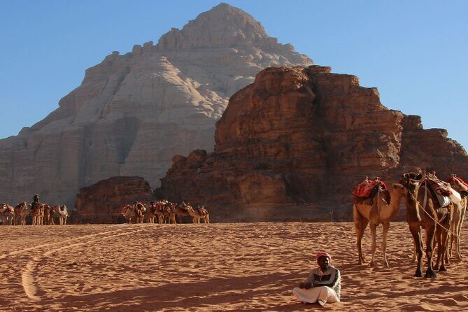 2-Day Private Tour in Jordan - Deluxe Tent - Private transport that keeps Amman to Petra to Wadi Rum from feeling chaotic