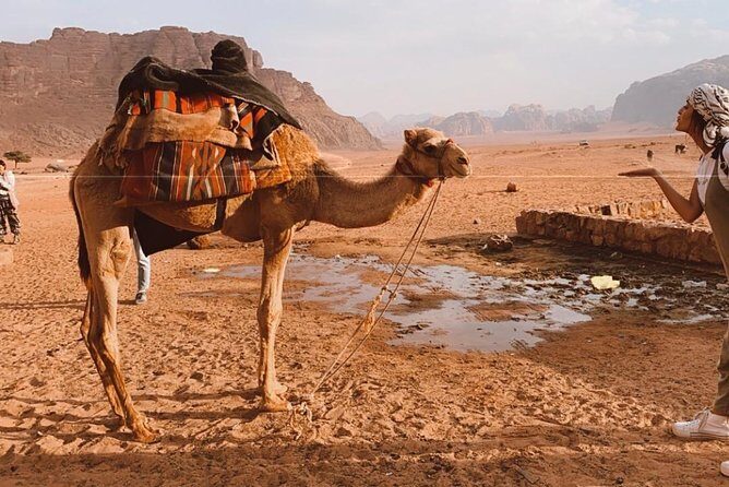 2 Hour Jeep Tour - Wadi Rum Desert & Canyon - Aqaba to Wadi Rum: 2 Hours That Hit the Icons