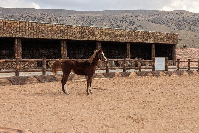 2 Hour Trail Ride to Little Petra-Morning or Sunset - Riding the backroads toward Little Petra’s UNESCO area