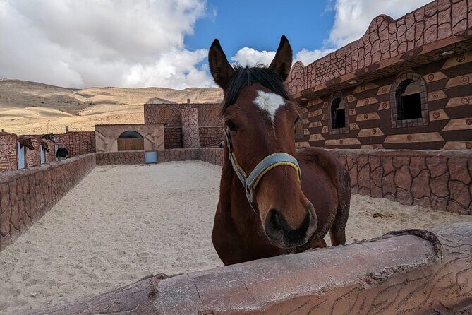 2 Hour Trail Ride to Little Petra-Morning or Sunset - Morning or sunset: how timing changes the ride