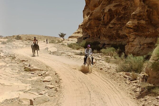 2 Hour Trail Ride to Little Petra-Morning or Sunset - The horses and the stables’ rehabilitation mission