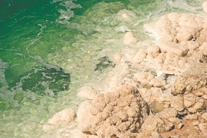 2-Night Private Luxury Escape to Petra and the Dead Sea from Amman - Petra guide quality is the real luxury