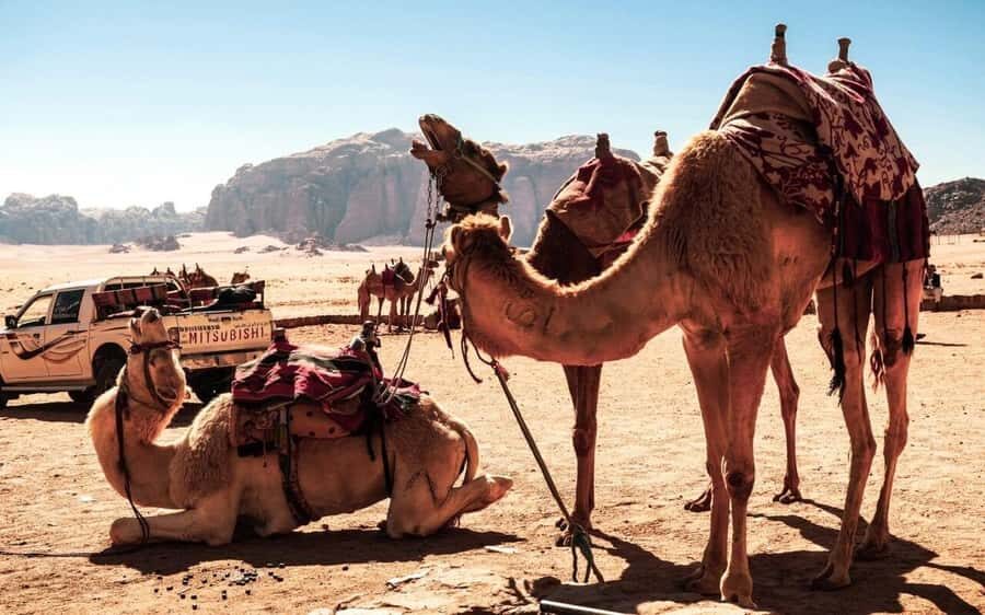 2 Nights in Petra: A 4 Day tour of Desert, Dead & Red Seas - Day 3 in Aqaba and Wadi Rum: Sea time choices, then Bedouin camp nights