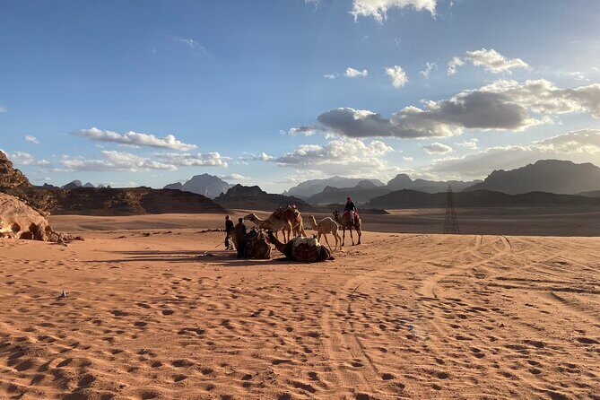 3-Day Group Tour to Petra, Wadi Rum and northern Jordan from Amman/Dead Sea - The transportation rhythm: group size, pickup timing, and comfort tips