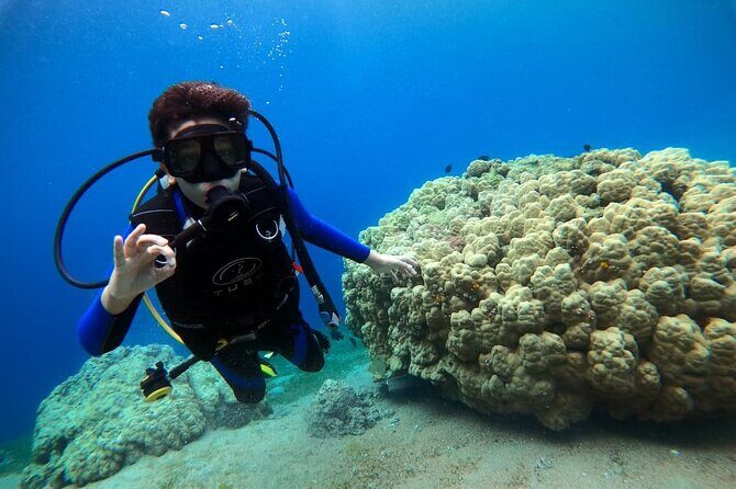 3-Day Open Water Scuba Diving Course in Aqaba - Confined Water Training: Where You Learn to Breathe, Balance, and Relax