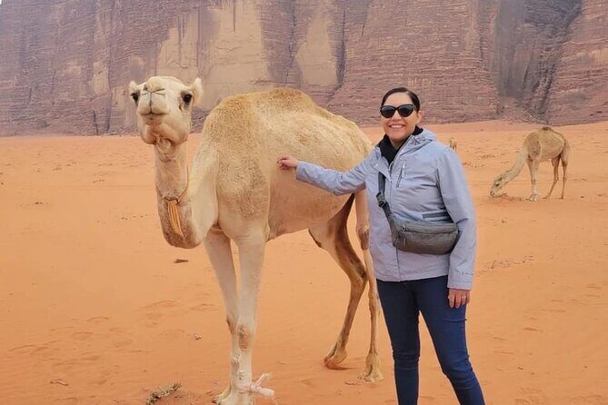 3-Day Tour from Amman: Jerash, Ajloun, Petra, Wadi Rum & Dead SEA - Wadi Rum Overnight: Moonlike Desert Time (Without Overpaying for Options)