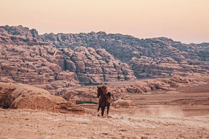 3 Hour Horse Riding Adventure around the Petra Area - Bedouin tea with local hosts: the human moment