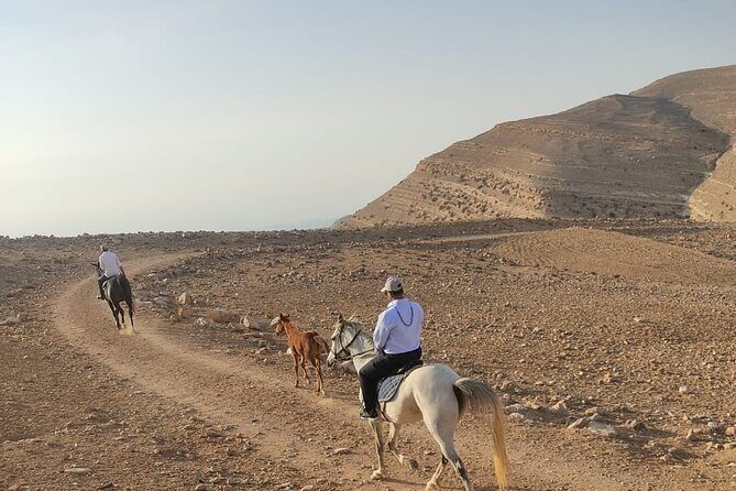 3 Hour Horse Riding Adventure around the Petra Area - Horses, safety, and what to ask before you mount
