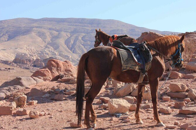 3 Hour Horse Riding Adventure around the Petra Area - The snack and the light lunch stop in the mountains