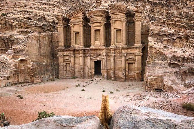 3Days Tour Petra & Wadi Rum from Amman, Dead Sea OR Amman Airport - What to pack for Petra-Wadi Rum comfort (and fewer sore ankles)
