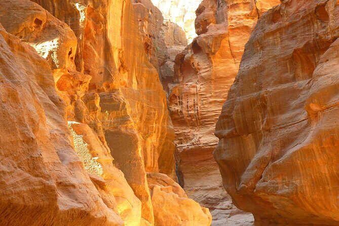 5-Day Private Jordan Tour: Petra, Wadi Rum and the Dead Sea from Amman - Day 5: back to Amman and home from Queen Alia