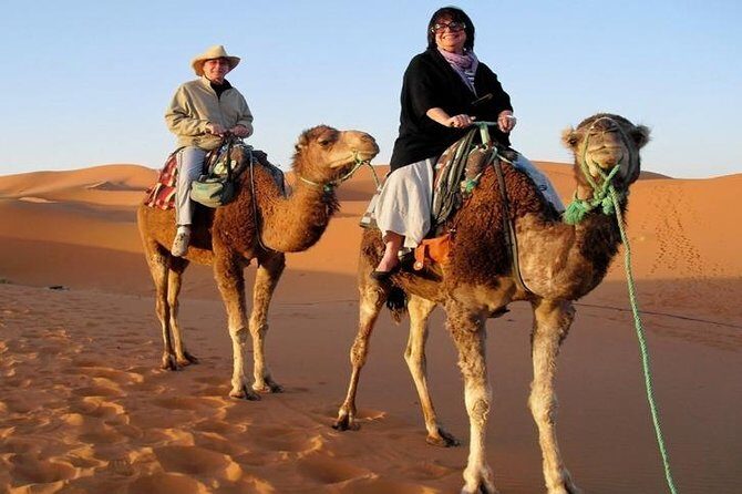 7-Day Private Tour, Explore Jordan's Glamour - Day 3: Desert Castles of Qasr al-Azraq, Quseir Amra, and Qasr al‑Harraneh (Kharana)