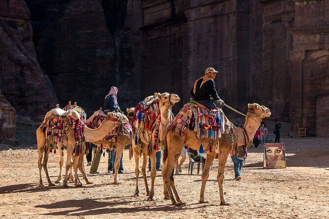 7 Days Jordan Sightseeing Tour - Key Highlights Worth Your Attention