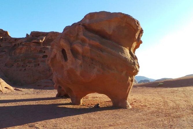 8-Day Private Tour, Jordan's Ability - Customizable - Wadi Rum Protected Area by 4x4 Jeep: Desert Scenery With Real Motion