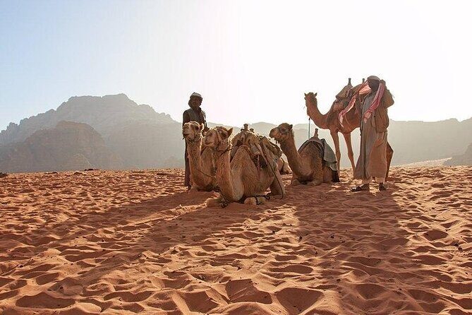8 Days Jordan Tour: Petra, Wadi Rum, Aqaba - Should you book this 8 Days Jordan Tour?