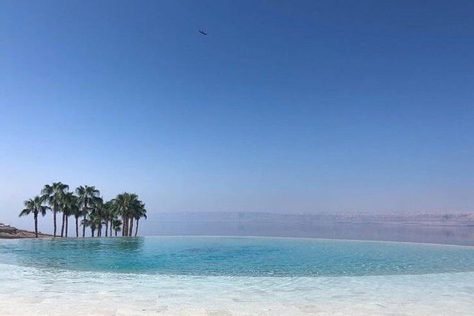 Airport to Dead Sea Transfer (private shuttle) - Your Driver: English-Fluent, Polite, and Practical