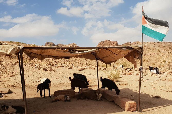 Amman and Aqaba airport lift to Petra and Wadi Rum - The driver factor: Belal Khalefa Hamduan and real trip-day focus