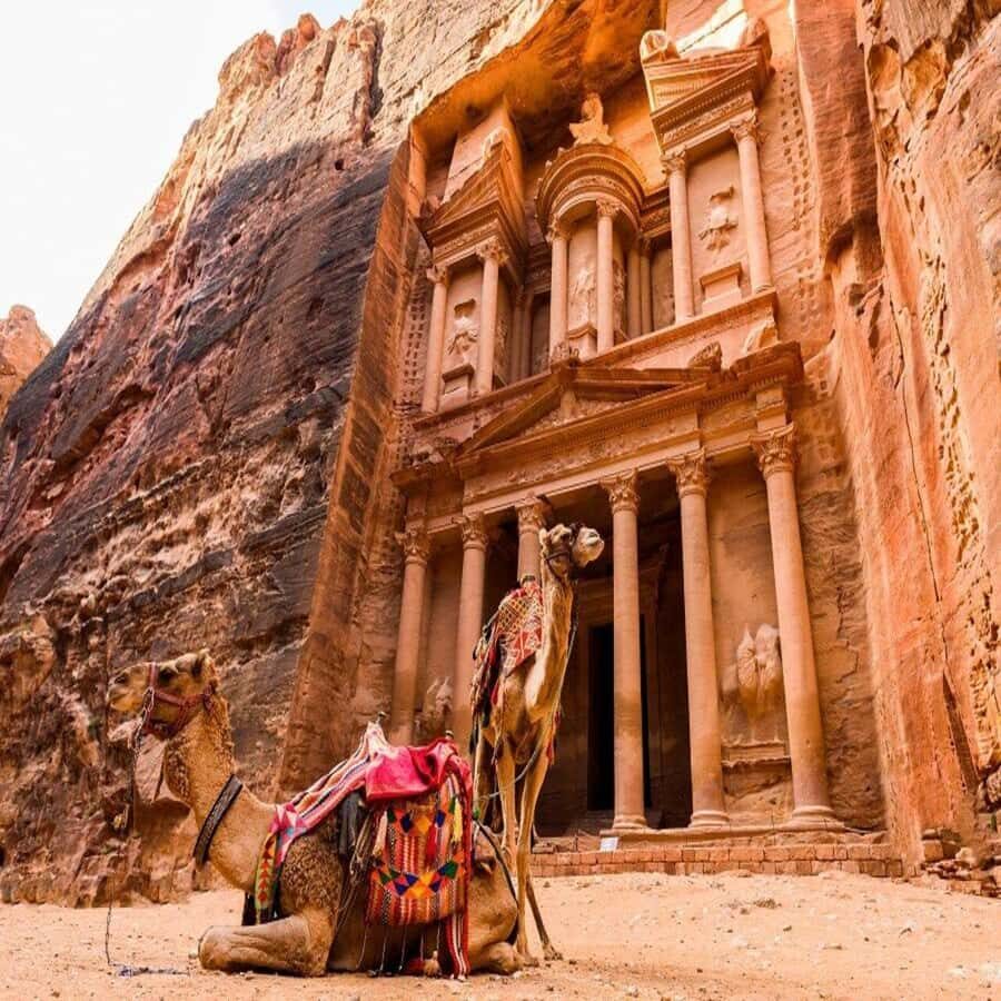 Amman Private Tour Petra Wadi Rum And Dead Sea 2day Bubble - Day 1: Amman to Petra, plus a focused 3-hour walk