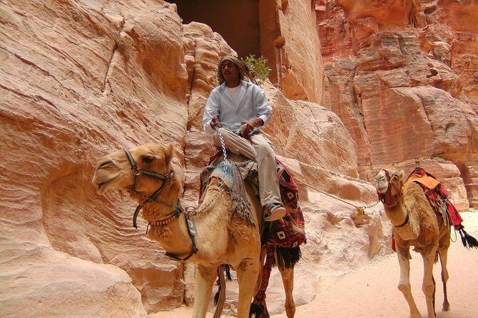 Aqaba Shore Excursion: Private Petra Sightseeing Tour with Lunch - Getting to the Siq: what to expect before the first big view