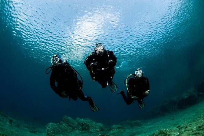 Berenice Beach Club Day Access - Boat Excursions and Snorkel Time: Great Add-Ons, Not Included