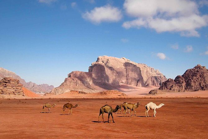 Best of Jordan Tour Amman Petra and Dead Sea with Camping at Wadi Rum - Day 4: Wadi Rum’s pink sand and time to camp under the stars