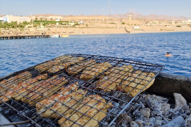 Boat Dive and Snorkeling Experience in Aqaba - Key highlights worth your attention