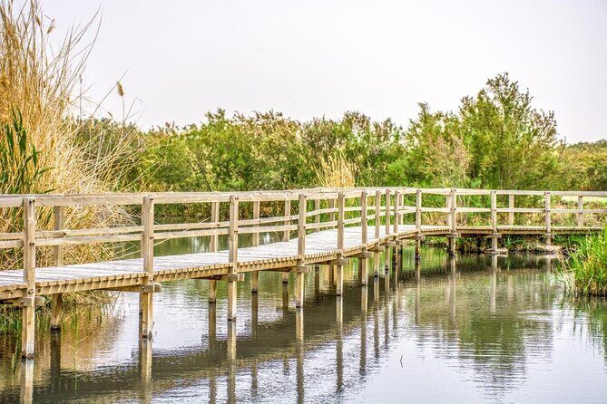 Day Tour Desert Castles & Azraq Wetland Reserve - Key things to know before you go