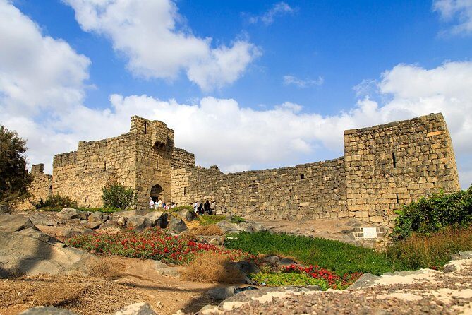 Day Tour Desert Castles & Azraq Wetland Reserve - Price and value: when $69 feels fair
