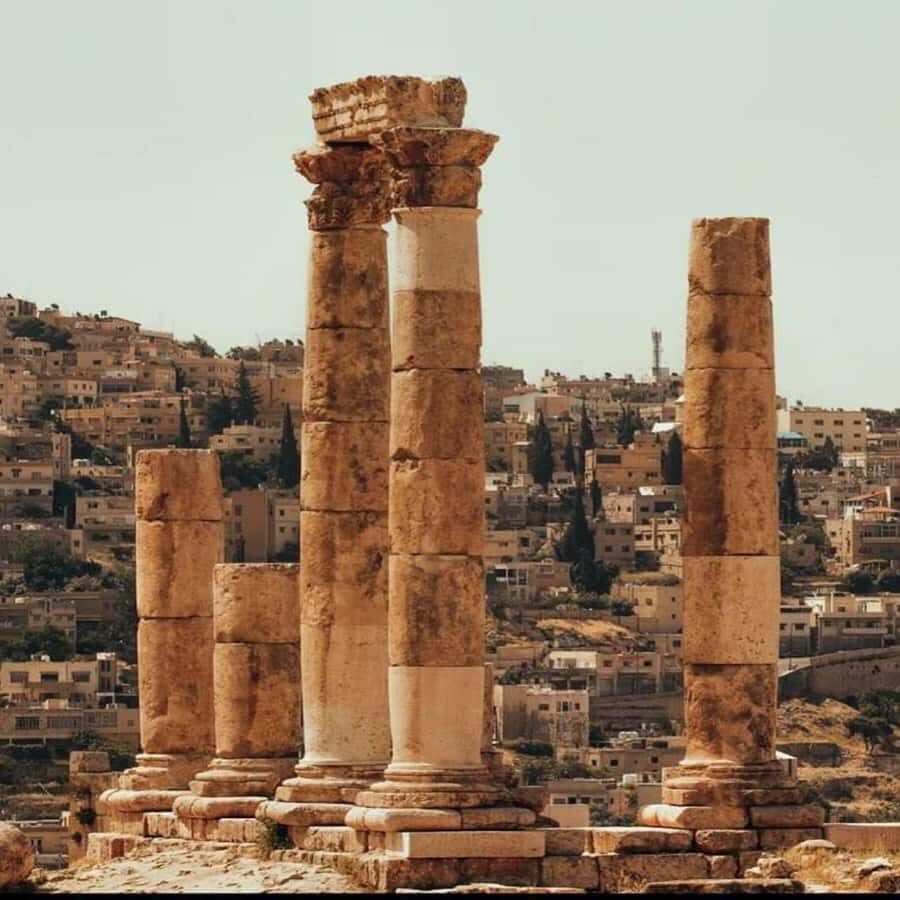 Day Tour Jerash and Amman City Tour From Amman - Local Guides and Entry Fees: The One Extra Cost You Should Plan For