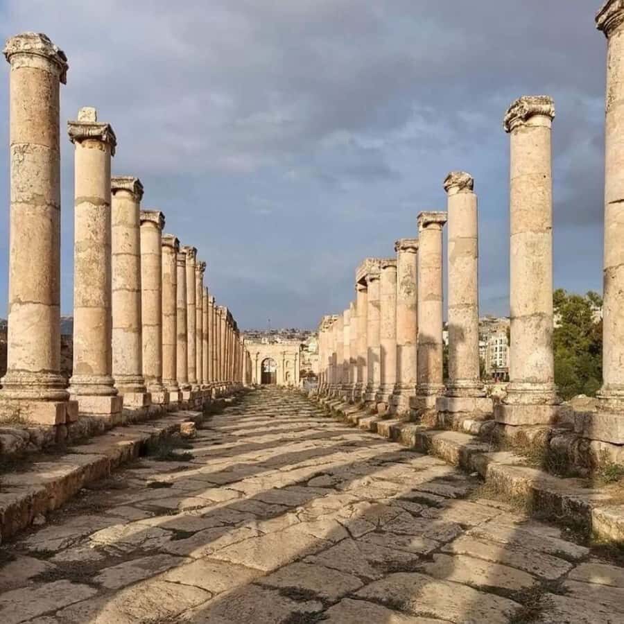 Day Tour Jerash and Amman City Tour From Amman - Guides Matter: Shadi’s On-Time Pickup and Omar’s Professional Touch