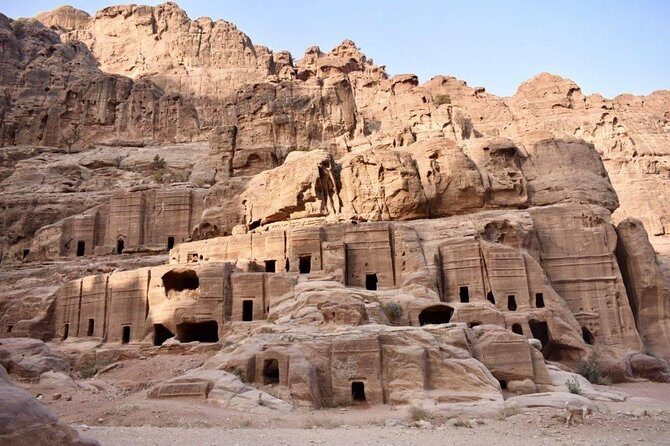 Day Tour To Petra From Amman - Practical tips to avoid a painful day