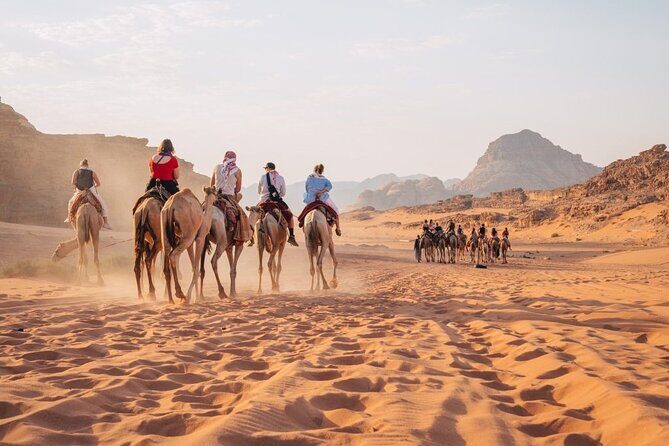 Day Trip to Petra, Wadi Rum, and Shobak Castle - A One-Day Power Tour From Amman Without the Driver Puzzle
