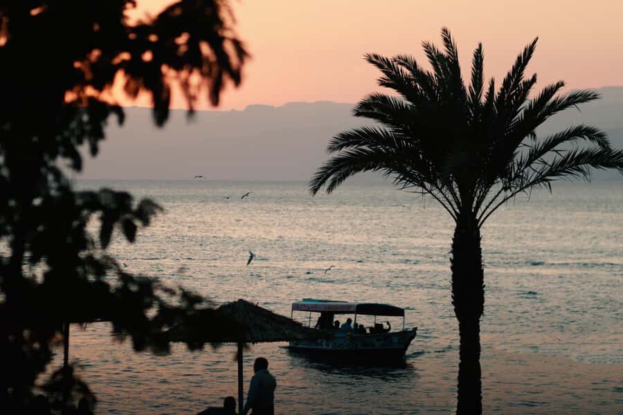 Discover Aqaba in Style: A 3-h City Tour by Car with meal - Price and Value: Is $36 a Smart Deal for 3 Hours?