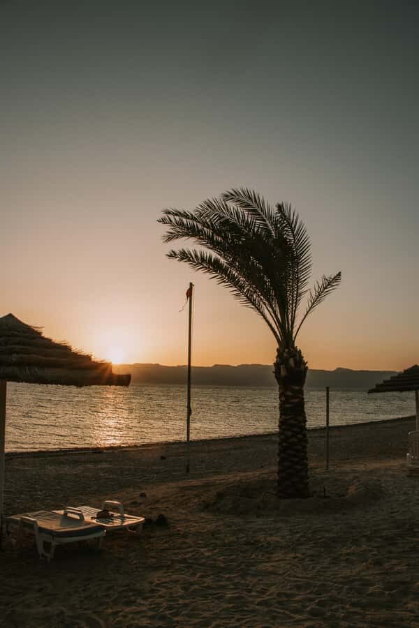 Discover Aqaba in Style: A 3-h City Tour by Car with meal - Who Should Book This Tour (and Who Might Want More Time)