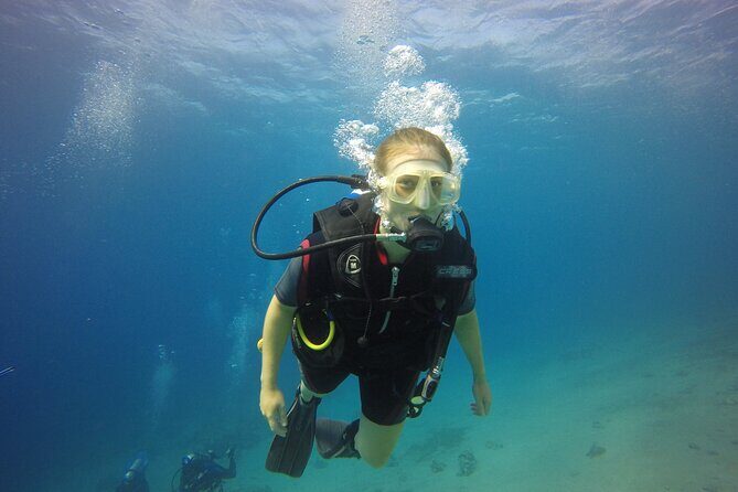 Discover the Depths: Aqaba's Ultimate private Dive Experience - Key highlights worth your attention
