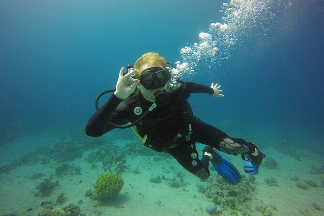 Discover the Depths: Aqaba's Ultimate private Dive Experience - Price and what $55 buys you (and what it doesn’t)
