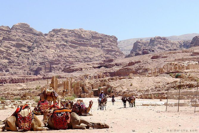 Experience Petra & Wadi Rum in One Day From Amman - What’s included (and what isn’t) matters more than the headline price