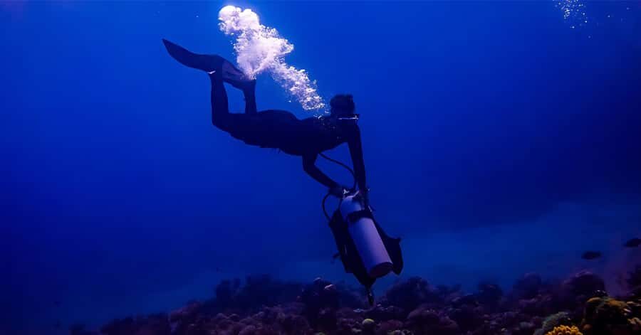 Explore Aqaba's Depths: Scuba Diving Tour, with Hotel Pickup - Your Underwater Time at South Beach: Reef Life With Clear Visibility