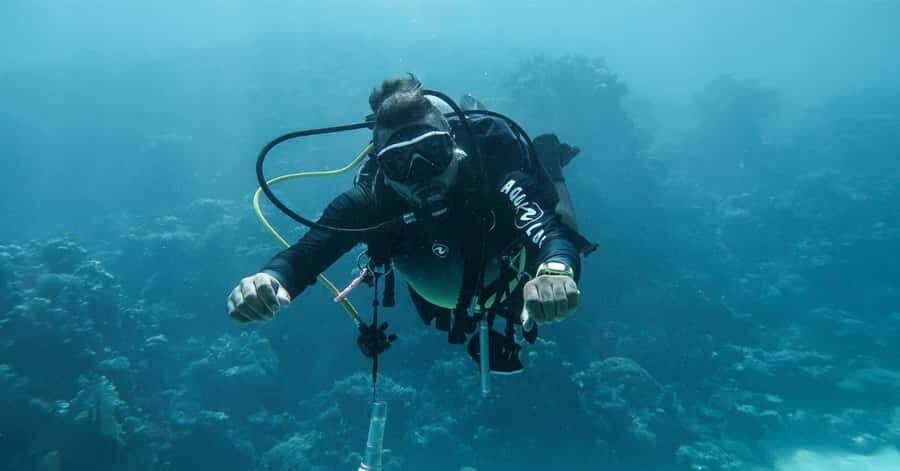 Explore Aqaba's Depths: Scuba Diving Tour, with Hotel Pickup - Safety Briefing and the Quick Scuba Class on Site