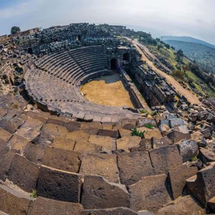 Explore Northern Jordan:Amman to Jerash, Ajloun,and Umm Qais - Your driver, the small group, and how Khalil-style flexibility helps