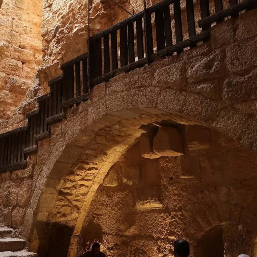Explore Northern Jordan:Amman to Jerash, Ajloun,and Umm Qais - Who this Northern Jordan route is best for