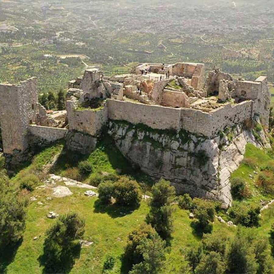 Explore Northern Jordan:Amman to Jerash, Ajloun,and Umm Qais - Should you book this Amman to Jerash, Ajloun, and Umm Qais tour?