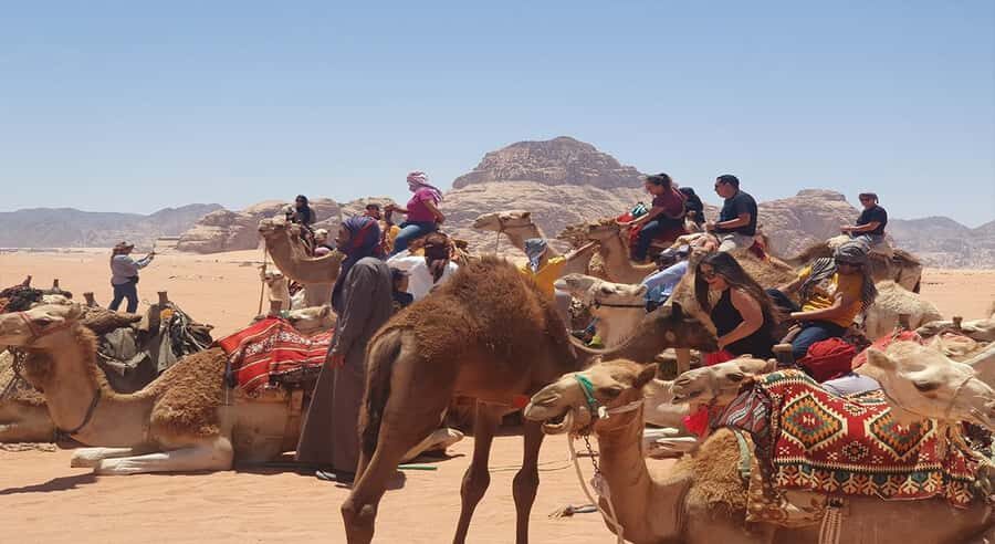 From Amman/Airport: 3-Night Private Jordan Special Tour - Key things you’ll notice on this private Jordan special tour