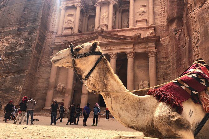From Amman | Dead sea and Petra in one day | Admission Fees Included - Dead Sea floating: private beach time, lunch included, no swimming needed