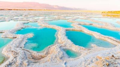 From Amman : Half-day tour to Dead sea and Crystal beach - Dead Sea Beach: The Floating Thing That Feels Like a Magic Trick