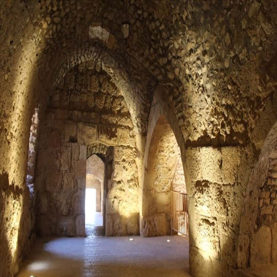 From Amman: Jerash &Ajloun &Um Qais Private Tour - From Your Amman Hotel to Northern Jordan in Comfort
